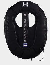 Load image into Gallery viewer, Halcyon Custom Wings