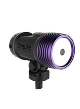 Load image into Gallery viewer, Sea Dragon Fluoro-Dual Beam Light Kit (Inc. grip, single tray, ball joint adapter, & /camera barrier filters)