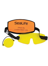 Load image into Gallery viewer, Sea Dragon Fluoro-Dual Beam Light Kit (Inc. grip, single tray, ball joint adapter, & /camera barrier filters)