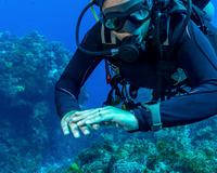 The Advantages of Using a Dive Computer