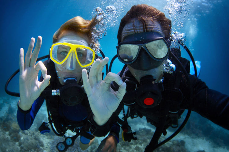5 Must-See Excursions for Any Diver