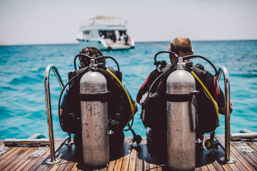 What You Should—And Shouldn’t—Do After A Successful Dive