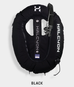 Halcyon ERA 30 Wing Custom