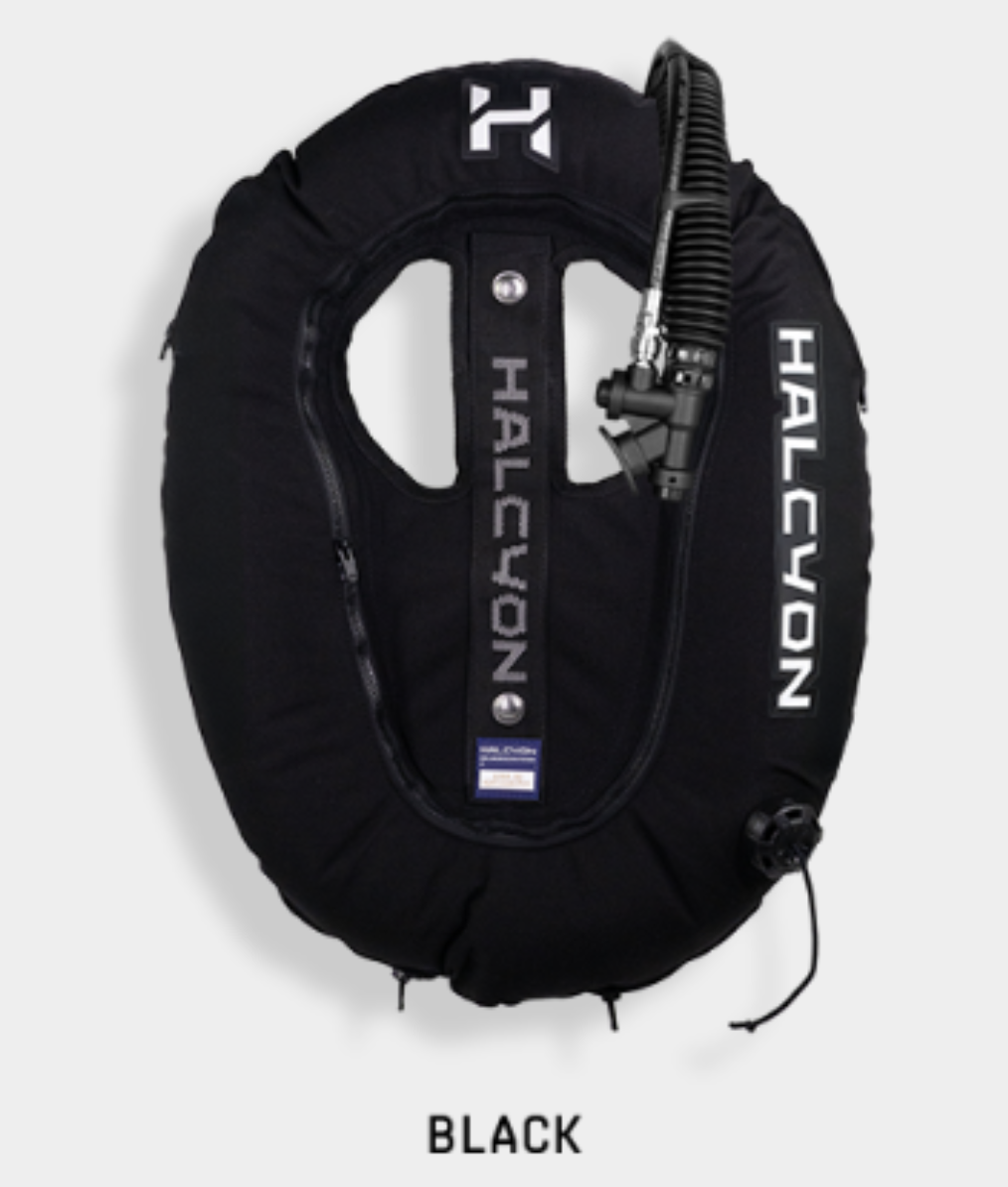 Halcyon ERA 30 Wing Custom