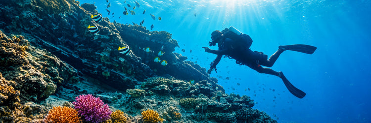Gear Up & Dive In!!
