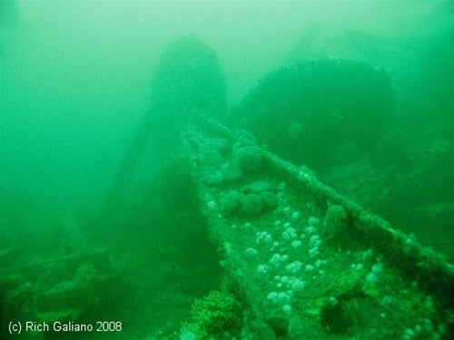 Image Of - Dive Charter to the wreck of the Tolten May 21, 2022