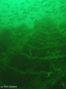 Image Of - Dive Charter to the wreck of the Tolten May 21, 2022