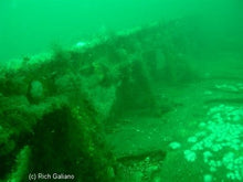 Load image into Gallery viewer, Image Of - Dive Charter to the wreck of the Tolten May 21, 2022
