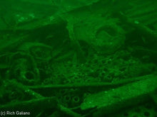 Load image into Gallery viewer, Dive Charter to the wreck of the Tolten June 21, 2026
