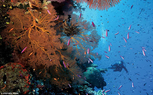 Fiji- Volivoli Beach Resort- 10 day trip October 7-17, 2028