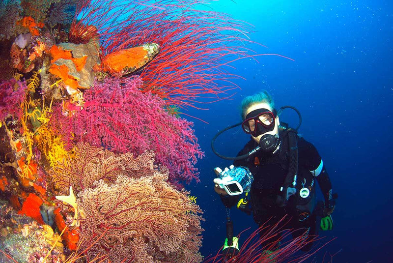 Load image into Gallery viewer, Fiji- Volivoli Beach Resort- 10 day trip October 7-17, 2028
