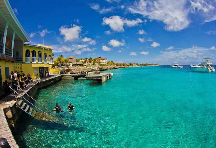 Image Of - Dive Trip Buddy Dive Bonaire November 5-12 2022