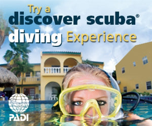 Image Of - Discover Scuba diving course