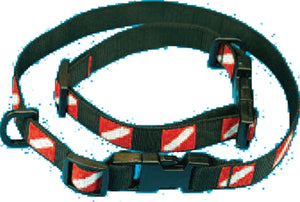 Photo of - Trident Med Dive Flag Dog Collar 11.5"-19" - Scubadelphia DiveSeekers.com