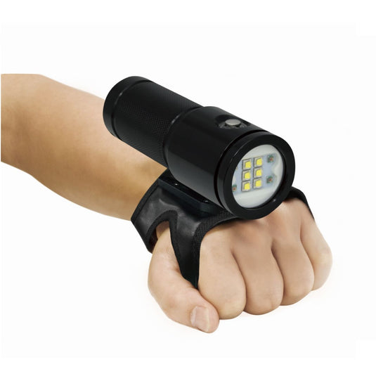 Image Of - Big Blue 4600-Lumen Video Light – Black